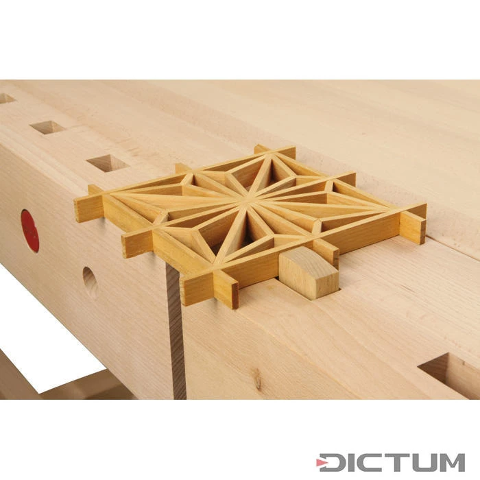 Banc de menuisier » Deluxe 2000 « DICTUM Banc De Menuisier » Deluxe 2000 « DICTUM -Outils Serie Boutique