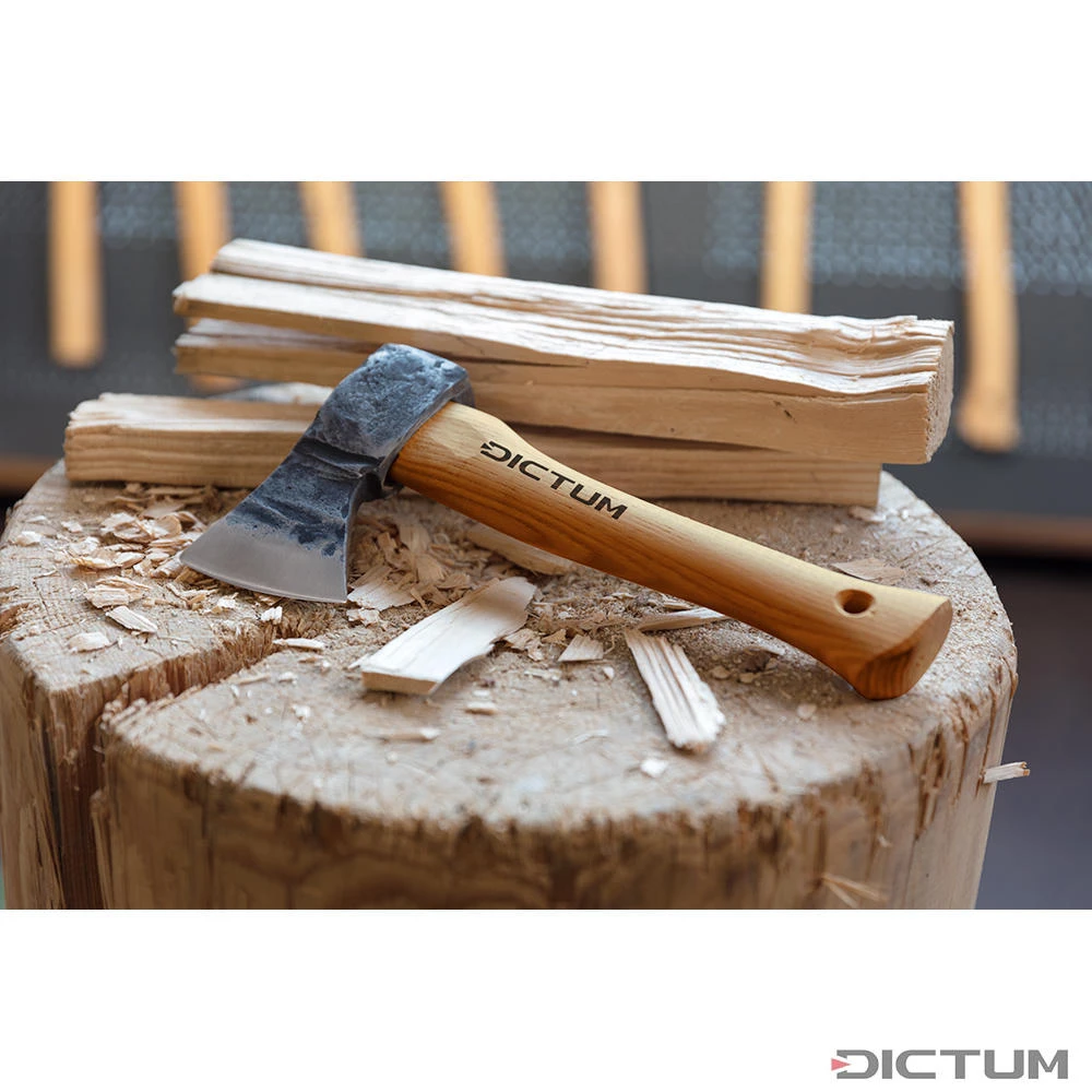 Hachette DICTUM avec étui en cuir Hachette DICTUM Avec étui En Cuir -Outils Serie Boutique 708475 01 A WE 8 DICTUM Handbeil WZ jpg c2