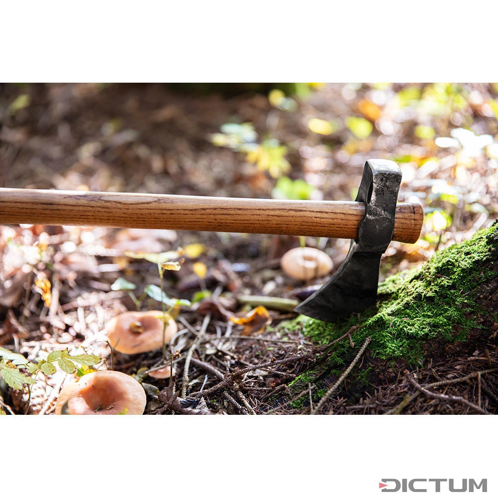 Hache De Plein Air DICTUM Avec Tête De Frappe, Avec étui En Cuir Standard -Outils Serie Boutique